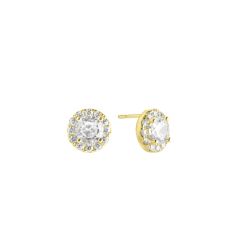 ORECCHINI 140682 Passione Zircone