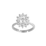 ANELLO 110157 Passione Zircone