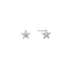 ORECCHINI 140678 Argento Puro